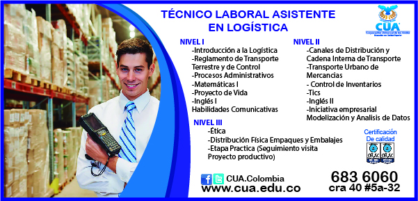 plantilla asistente en logistica